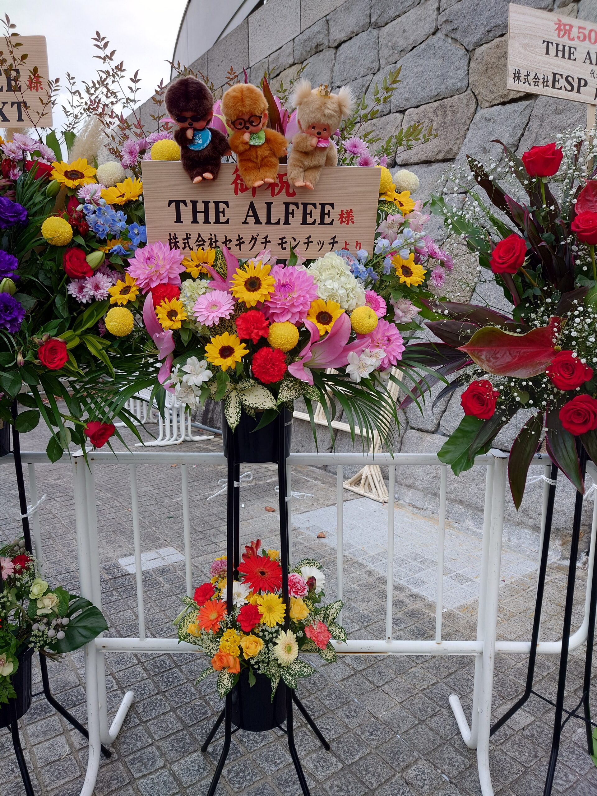 THE ALFEE］THE ALFEE 50th Anniversary 冬の祭典